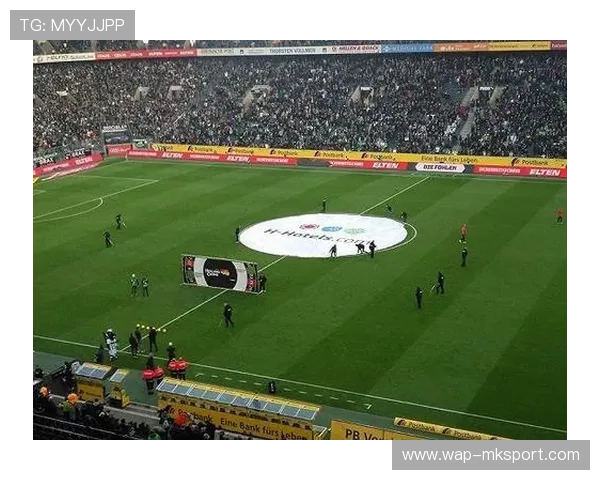 足球赛事碳足迹议题,德甲推广绿色交通 足球赛事碳足迹议题,德甲推广绿色交通